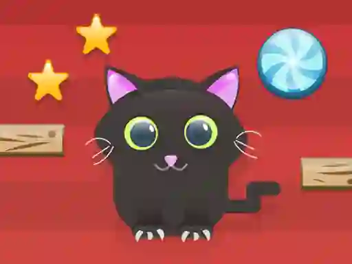 Spill Cut For Cat online