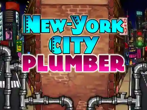 Spill Newyork City Plumber online