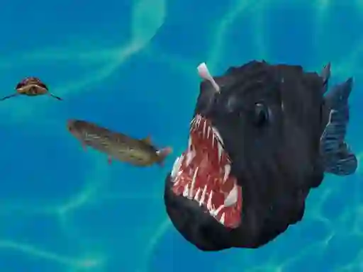 Spill Fish 3d online