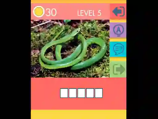 Spill 15 Picture Quiz online