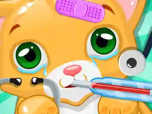 Spill Kitty Doctor online