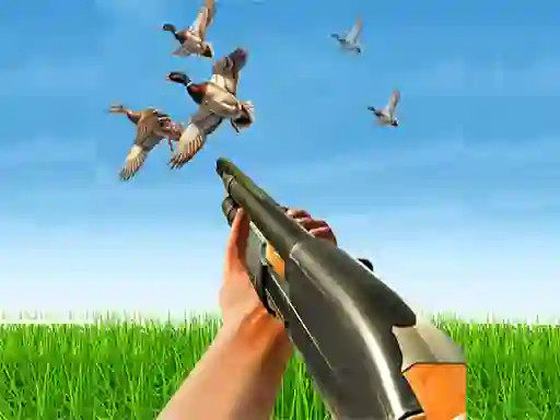 Spill Bird Hunting online