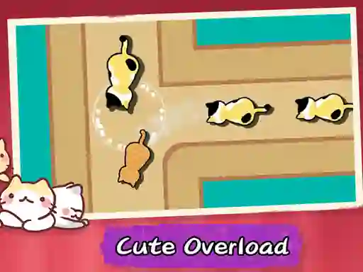 Spill Cat Freeway online