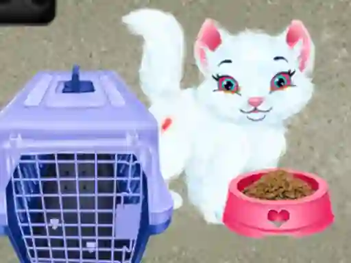 Spill Baby Taylor Pet Care online