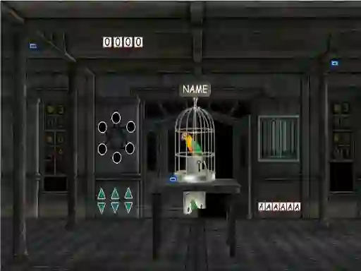 Spill Parrots Escape online