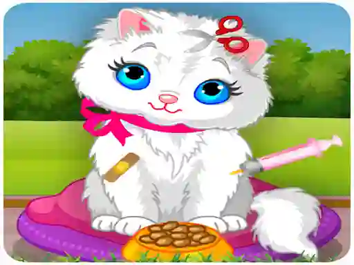 Spill Vet Cat Clinic online