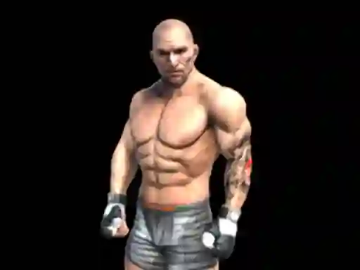 Spill Fight Arena Online online