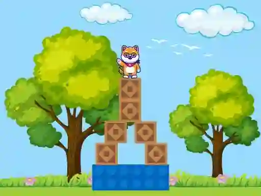 Spill Box Challenge online