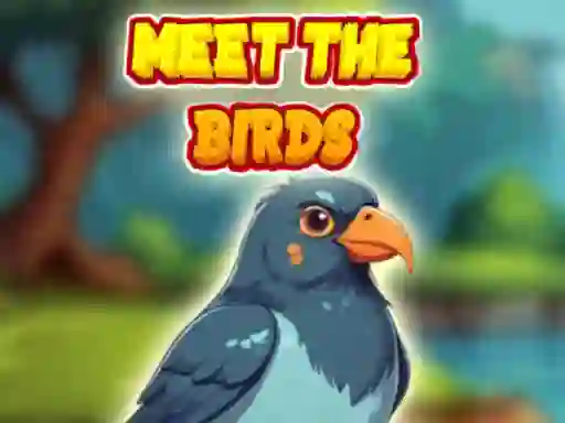 Spill Meet The Birds online