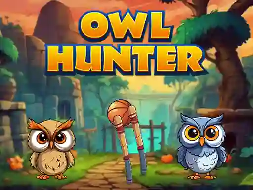 Spill Owl Hunter online