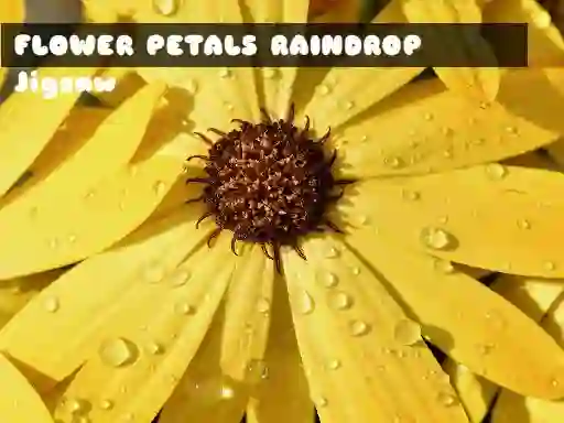 Spill Flower Petals Raindrop Jigsaw online