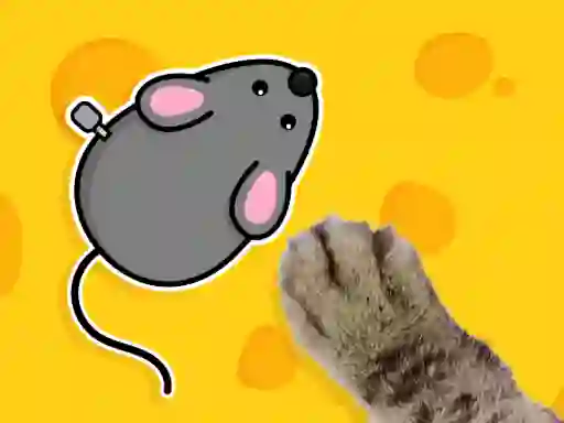 Spill Games for Pets online