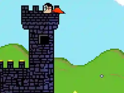 Spill Bird Hunter online