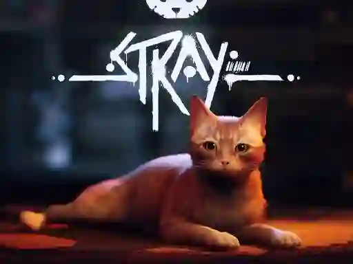 Spill Stray online