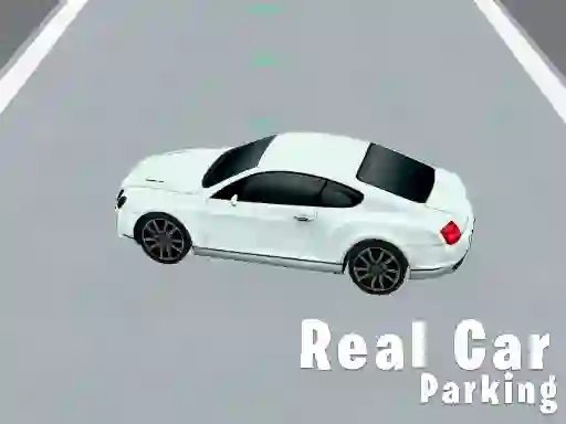 Spill Real Car Parking online
