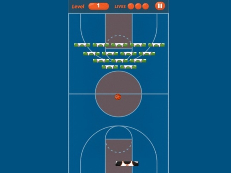 Spill Basket Boom online