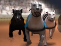 Spill Greyhound Racing online