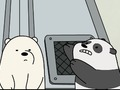 Spill Baby Bear Bonanza online