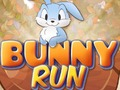 Spill Bunny Run online