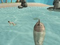 Spill Shark Simulator Beach Killer online
