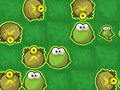 Spill Frog Rush online
