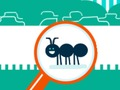 Spill Squashy bug online