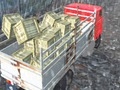 Spill Offroad Truck Driver online
