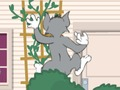 Spill Tom og Jerry: Wasserbomben Wahnsinn  online