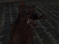 Spill Nazi -zombiehæren online