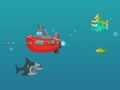 Spill Hai dash online