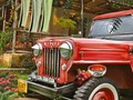 Spill Flower Farm online