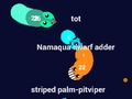 Spill Curvz. io  online