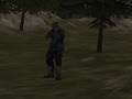 Spill FPS -byrå: Forest online