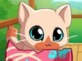 Spill Min Pocket Pets Kitty Cat  online