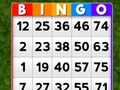 Spill Bingo online