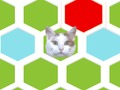 Spill Fell katten  online