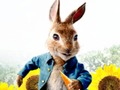 Spill Peter Rabbit: Trouble in the Maze  online
