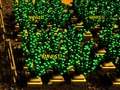 Spill Pixel Farm online