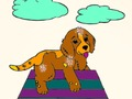 Spill Husdyr Coloring Book  online