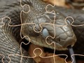 Spill Mysterious Snakes: Puzzle  online