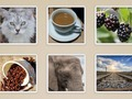 Spill Bildelysbilde  online