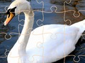 Spill Swan Puzzle Utfordring  online