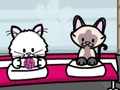 Spill Pet Salon Kitty Care online