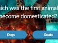 Spill Dyretrivia online