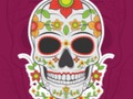 Spill Fargerik Skull Jigsaw  online