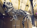 Spill En dag på museet  online