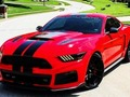Spill Fancy Mustang forskjeller  online