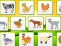 Spill Farm Animals Kids Learning Memory  online