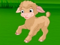 Spill Lambsag online