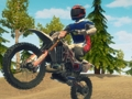Spill Skitt sykkel enduro racing online